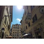 Zdjęcia użytkowników Samsung Galaxy Note 8