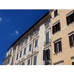 Zdjęcia użytkowników Samsung Galaxy Note 8