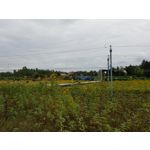 Zdjęcia użytkowników Samsung Galaxy Note 8