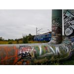 Zdjęcia użytkowników Samsung Galaxy Note 8