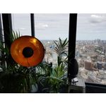 Zdjęcia użytkowników Samsung Galaxy Note 8