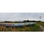 Zdjęcia użytkowników Samsung Galaxy Note 8