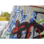 Zdjęcia użytkowników Samsung Galaxy Note 8