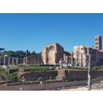 Zdjęcia użytkowników Samsung Galaxy Note 8