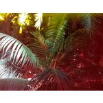 Zdjęcia użytkowników Samsung Galaxy Note 8