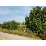 Zdjęcia użytkowników Samsung Galaxy Note 8