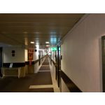 Zdjęcia użytkowników Samsung Galaxy Note 8