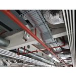 Zdjęcia użytkowników Samsung Galaxy Note 8