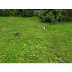 Zdjęcia użytkowników Samsung Galaxy Note 8