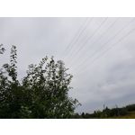 Zdjęcia użytkowników Samsung Galaxy Note 8