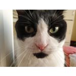 Zdjęcia użytkowników Samsung Galaxy Note 9 Dual SIM