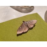 Zdjęcia użytkowników Samsung Galaxy Note 9 Dual SIM