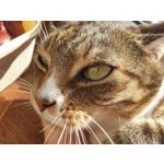 Zdjęcia użytkowników Samsung Galaxy Note 9 Dual SIM