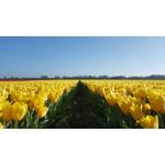 ZDJĘCIA Z TEGO TELEFONU