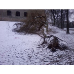 Zdjęcia użytkowników Samsung Galaxy Pocket