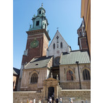 Zdjęcia użytkowników Samsung Galaxy S II Plus