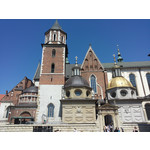 Zdjęcia użytkowników Samsung Galaxy S II Plus