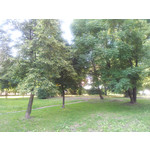 Zdjęcia użytkowników Samsung Galaxy S II