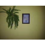 Zdjęcia użytkowników Samsung Galaxy S II