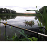 Zdjęcia użytkowników Samsung Galaxy S II