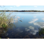 Zdjęcia użytkowników Samsung Galaxy S II