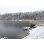 Zdjęcia użytkowników Samsung Galaxy S II