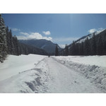 Zdjęcia użytkowników Samsung Galaxy S II