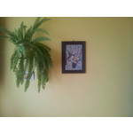 Zdjęcia użytkowników Samsung Galaxy S II