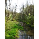 Zdjęcia użytkowników Samsung Galaxy S II