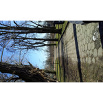 Zdjęcia użytkowników Samsung Galaxy S II