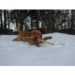 Zdjęcia użytkowników Samsung Galaxy S II