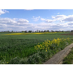 Zdjęcia użytkowników Samsung Galaxy S III mini