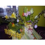 Zdjęcia użytkowników Samsung Galaxy S III Neo+