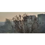 Zdjęcia użytkowników Samsung Galaxy S10+ Dual SIM