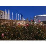 Zdjęcia użytkowników Samsung Galaxy S10+ Dual SIM