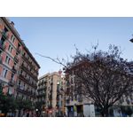 Zdjęcia użytkowników Samsung Galaxy S10+ Zdjęcia użytkowników Samsung Galaxy S10+