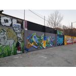 Zdjęcia użytkowników Samsung Galaxy S10+ Zdjęcia użytkowników Samsung Galaxy S10+