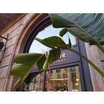 Zdjęcia użytkowników Samsung Galaxy S10+ Zdjęcia użytkowników Samsung Galaxy S10+