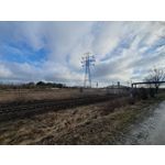 Zdjęcia użytkowników Samsung Galaxy S10+ Zdjęcia użytkowników Samsung Galaxy S10+