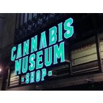 Zdjęcia użytkowników Samsung Galaxy S10+ Zdjęcia użytkowników Samsung Galaxy S10+