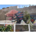 Zdjęcia użytkowników Samsung Galaxy S10+ Zdjęcia użytkowników Samsung Galaxy S10+