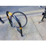 Zdjęcia użytkowników Samsung Galaxy S10+ Zdjęcia użytkowników Samsung Galaxy S10+