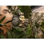 Zdjęcia użytkowników Samsung Galaxy S10+ Zdjęcia użytkowników Samsung Galaxy S10+