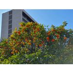 Zdjęcia użytkowników Samsung Galaxy S10+ Zdjęcia użytkowników Samsung Galaxy S10+