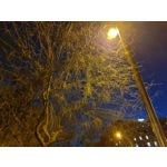 Zdjęcia użytkowników Samsung Galaxy S10+ Zdjęcia użytkowników Samsung Galaxy S10+