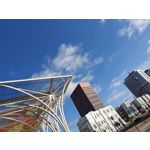 Zdjęcia użytkowników Samsung Galaxy S10+ Zdjęcia użytkowników Samsung Galaxy S10+