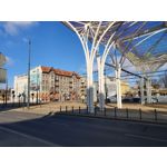 Zdjęcia użytkowników Samsung Galaxy S10+ Zdjęcia użytkowników Samsung Galaxy S10+