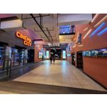 Zdjęcia użytkowników Samsung Galaxy S20 FE 5G