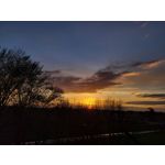 Zdjęcia użytkowników Samsung Galaxy S20 FE 5G