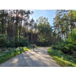 Zdjęcia użytkowników Samsung Galaxy S20 FE 5G